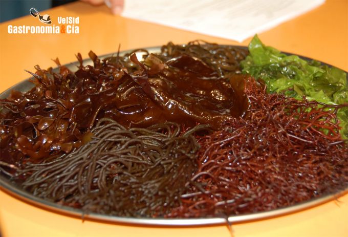 Alimentaria - Restaurama