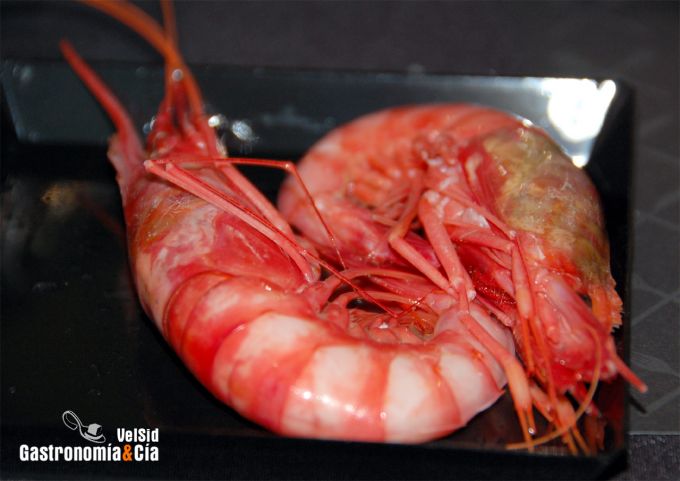 Alimentaria - Restaurama