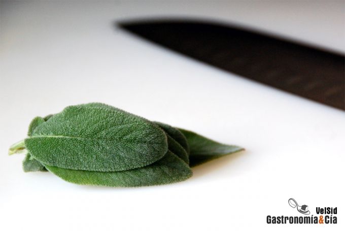 Galets con salsa de salvia y requesón