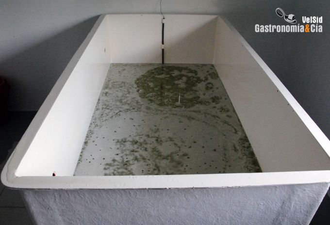 Gastronav (Navarra Gourmet)