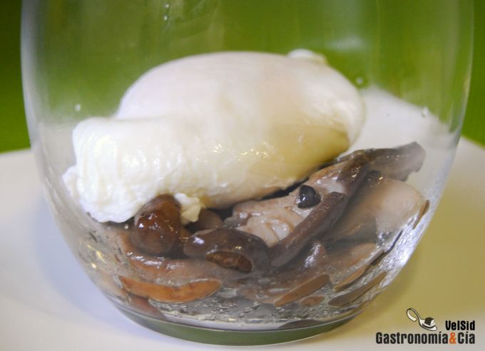 Huevo poché con setas y espuma de patata