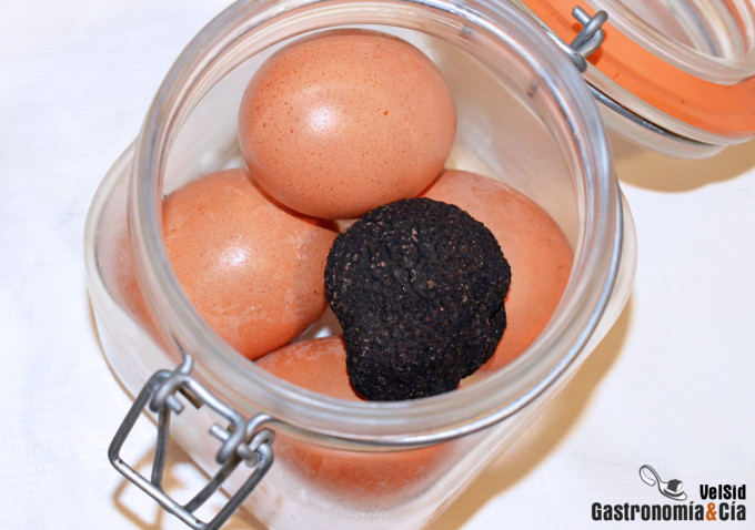 Cómo aromatizar huevos con trufa negra (Tuber melanospo