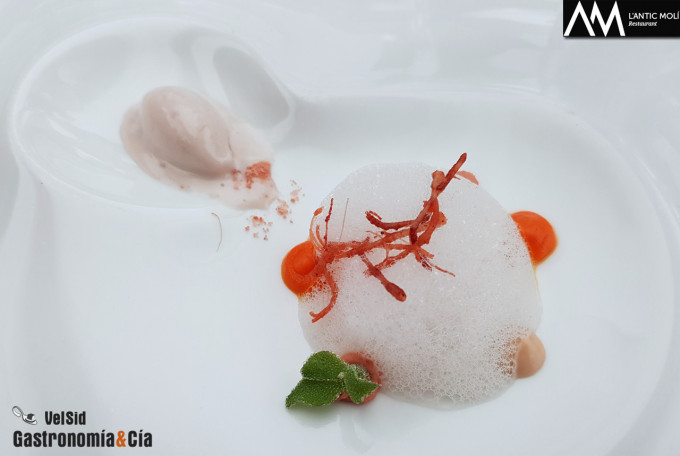 'Diseccionamos la galera' 2018