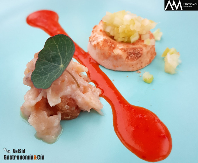 'Diseccionamos la galera' 2018