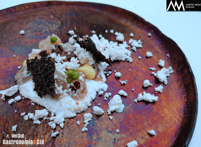 ‘Diseccionamos la galera’ 2018