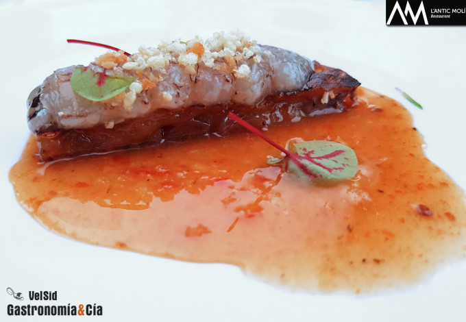 ‘Diseccionamos la galera’ 2018