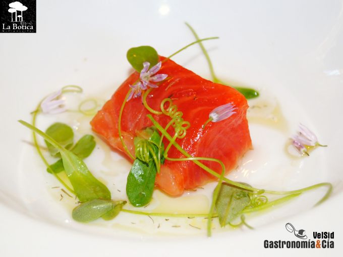 La Botica de Matapozuelos