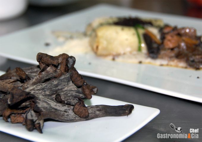 Lasagna de setas mixtas