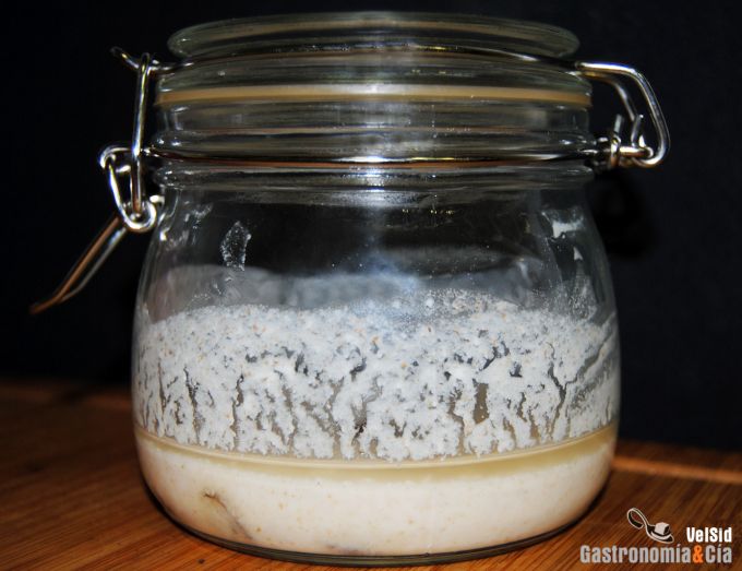 Masa madre natural de Dan Lepard