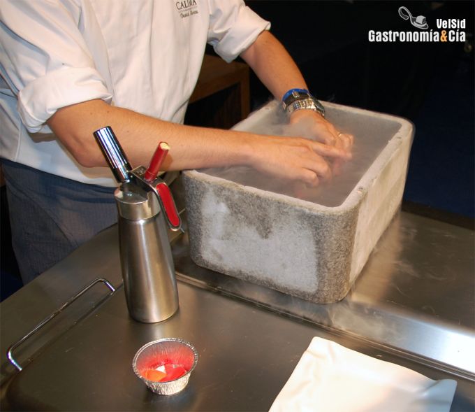 Falsa Cáscara de Aguacate