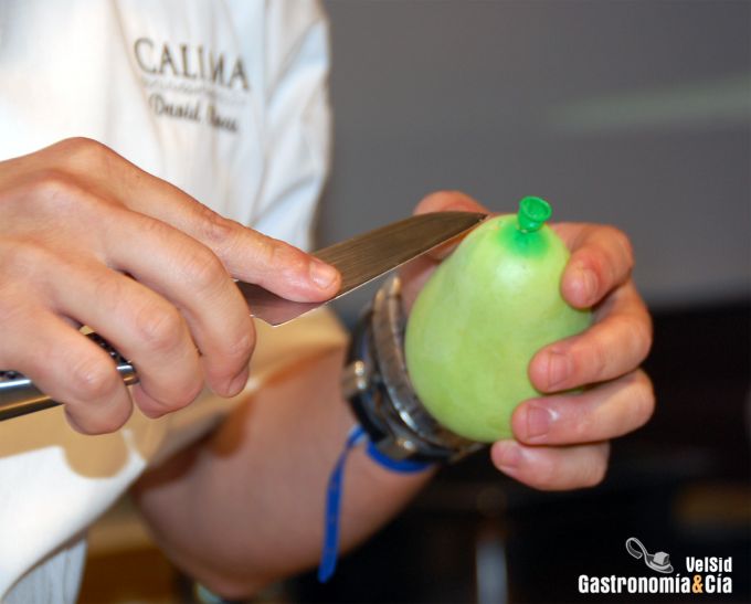 Falsa Cáscara de Aguacate