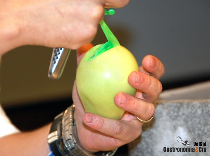 Falsa Cáscara de Aguacate