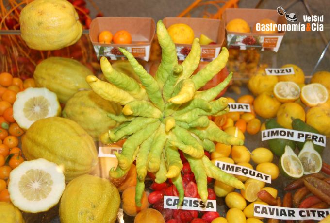 Lo Mejor de la Gastronomía 2009