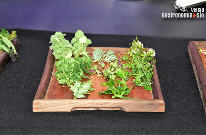 Javier Sanz y Juan Sahuquillo (OBA*)