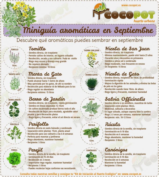 Miniguías de siembra para huerto urbano