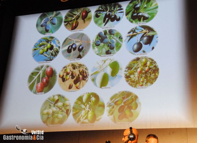 María José San Román en Andalucía Sabor 2011