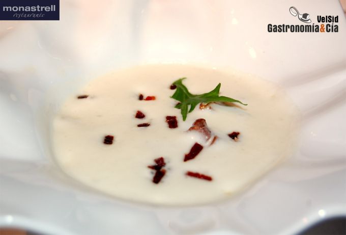 María José San Román