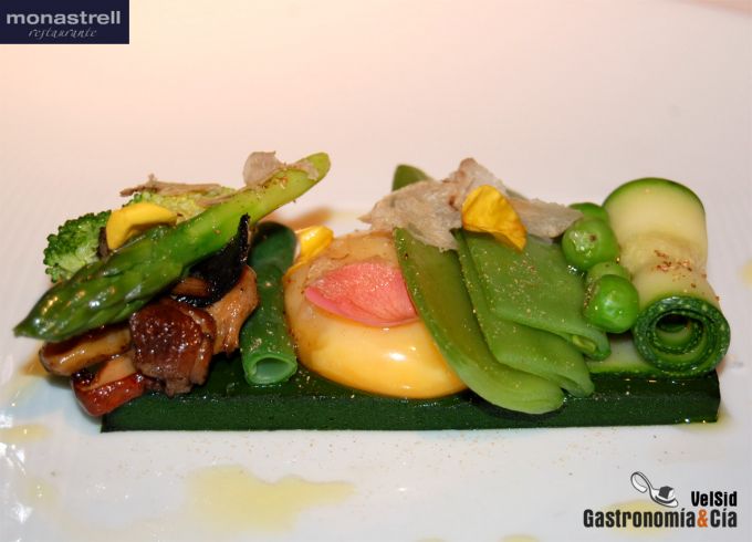 María José San Román