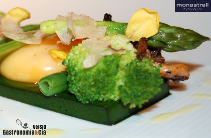 María José San Román