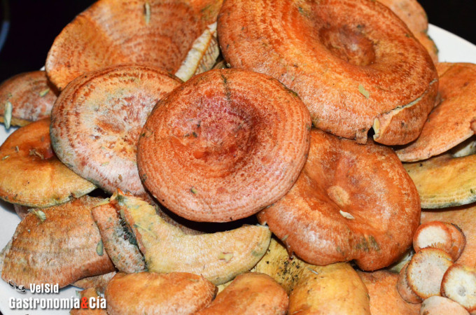 Orecchiette con níscalos, jamón y queso ahumado