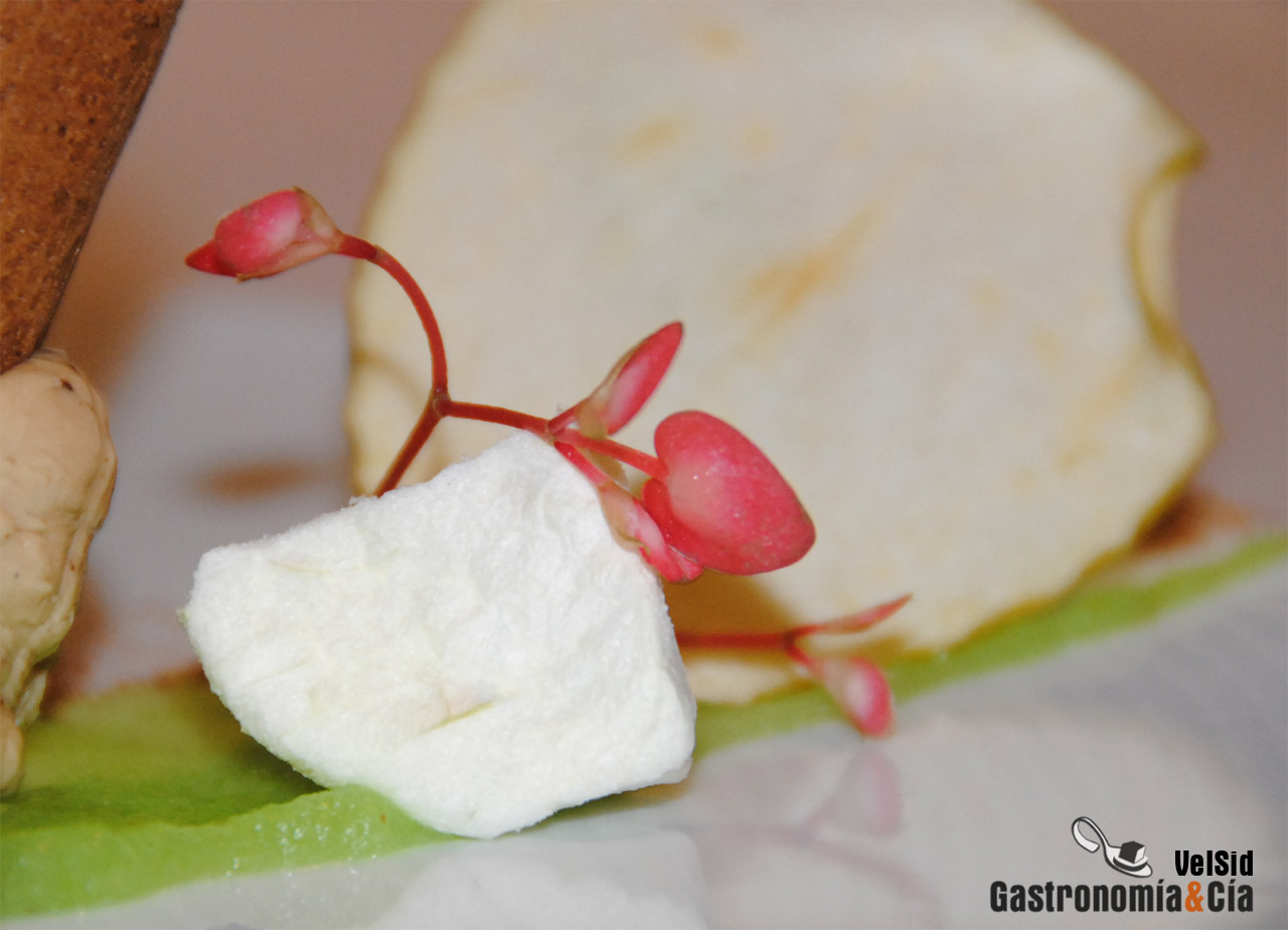 Madrid Fusión 2011 en imágenes (II)