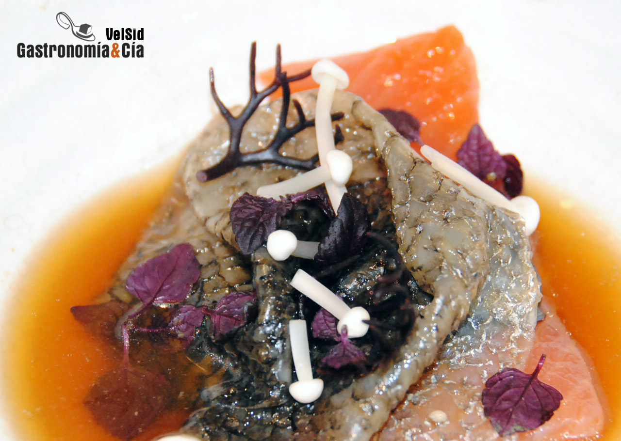 Madrid Fusión 2011 en imágenes (I)