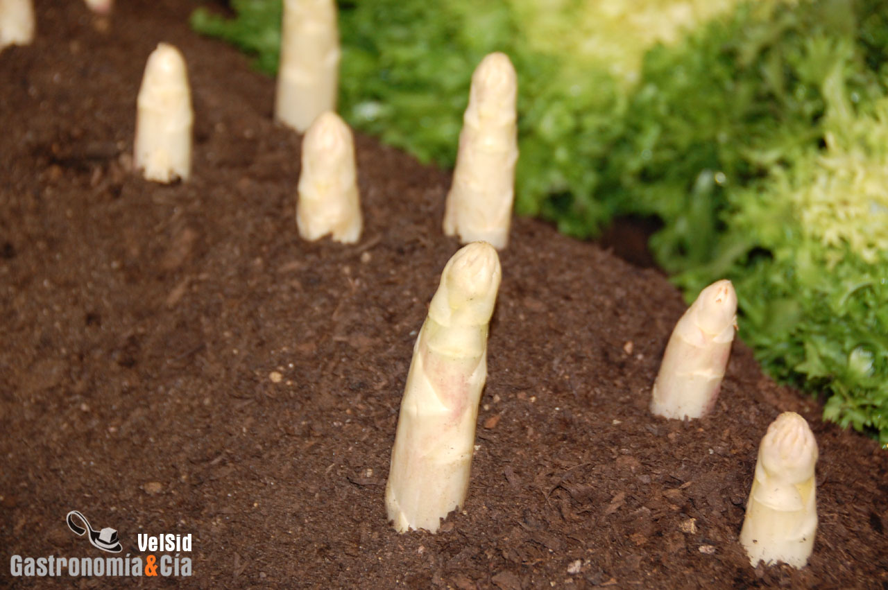 Navarra Gourmet Vive las Verduras en imágenes