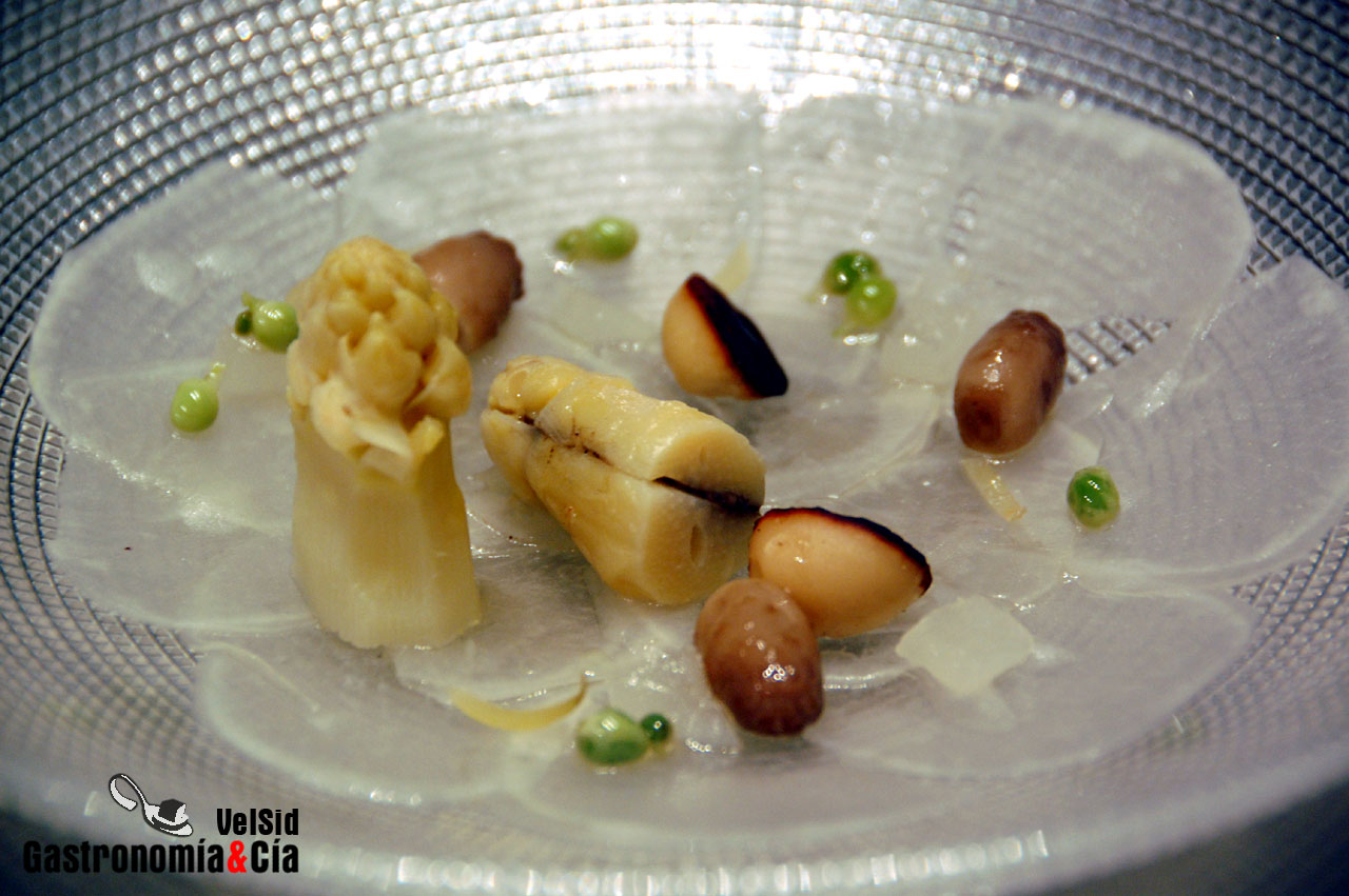 Navarra Gourmet Vive las Verduras en imágenes