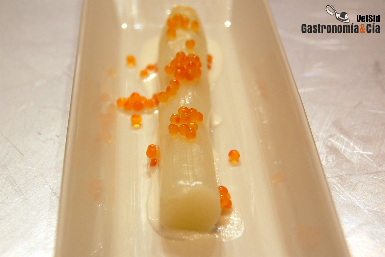 Navarra Gourmet Vive las Verduras en imágenes