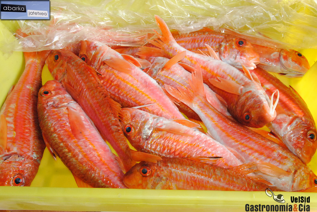 Restaurante Abarka. Hondarribia