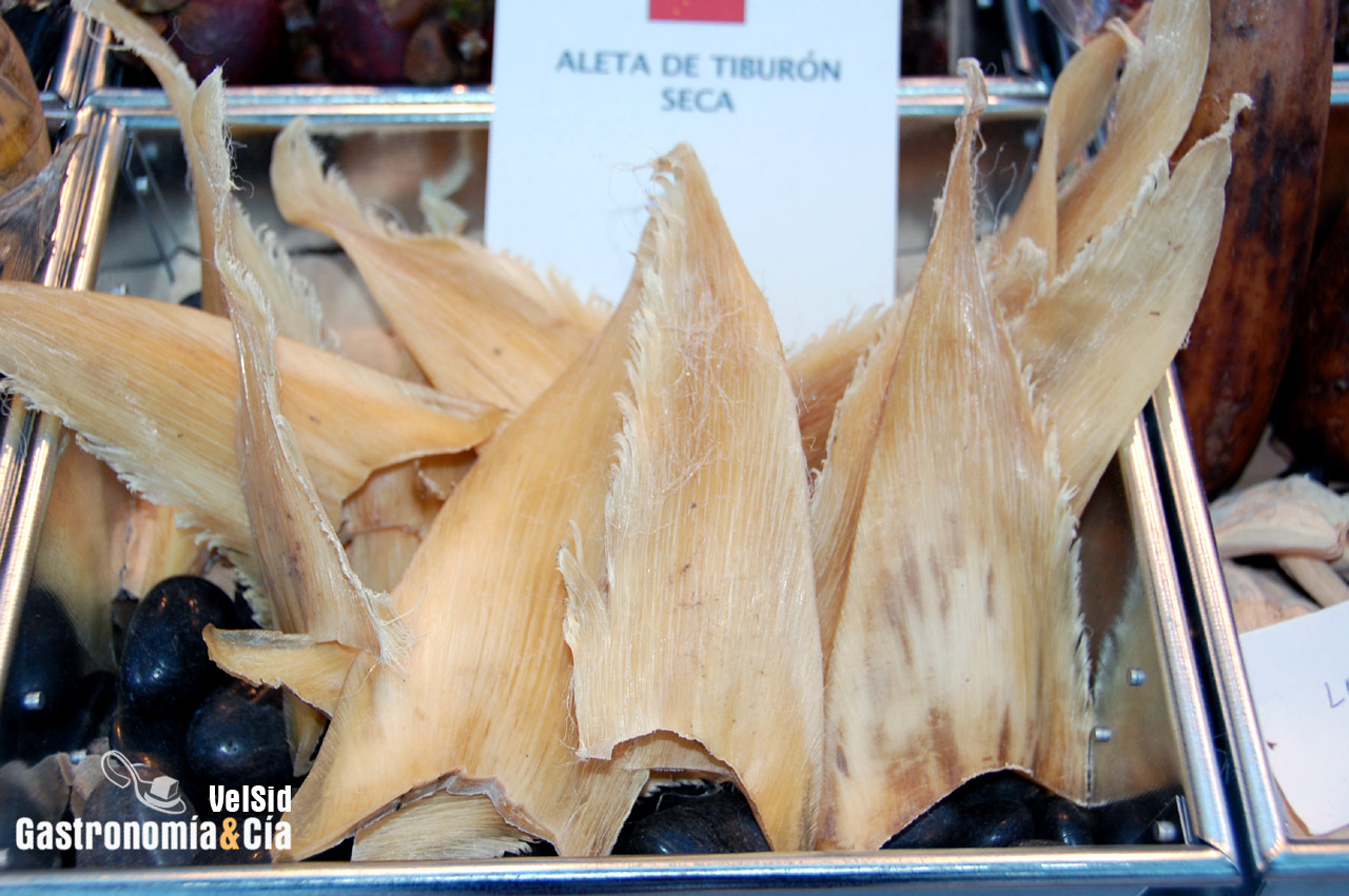 Aleta de tiburón