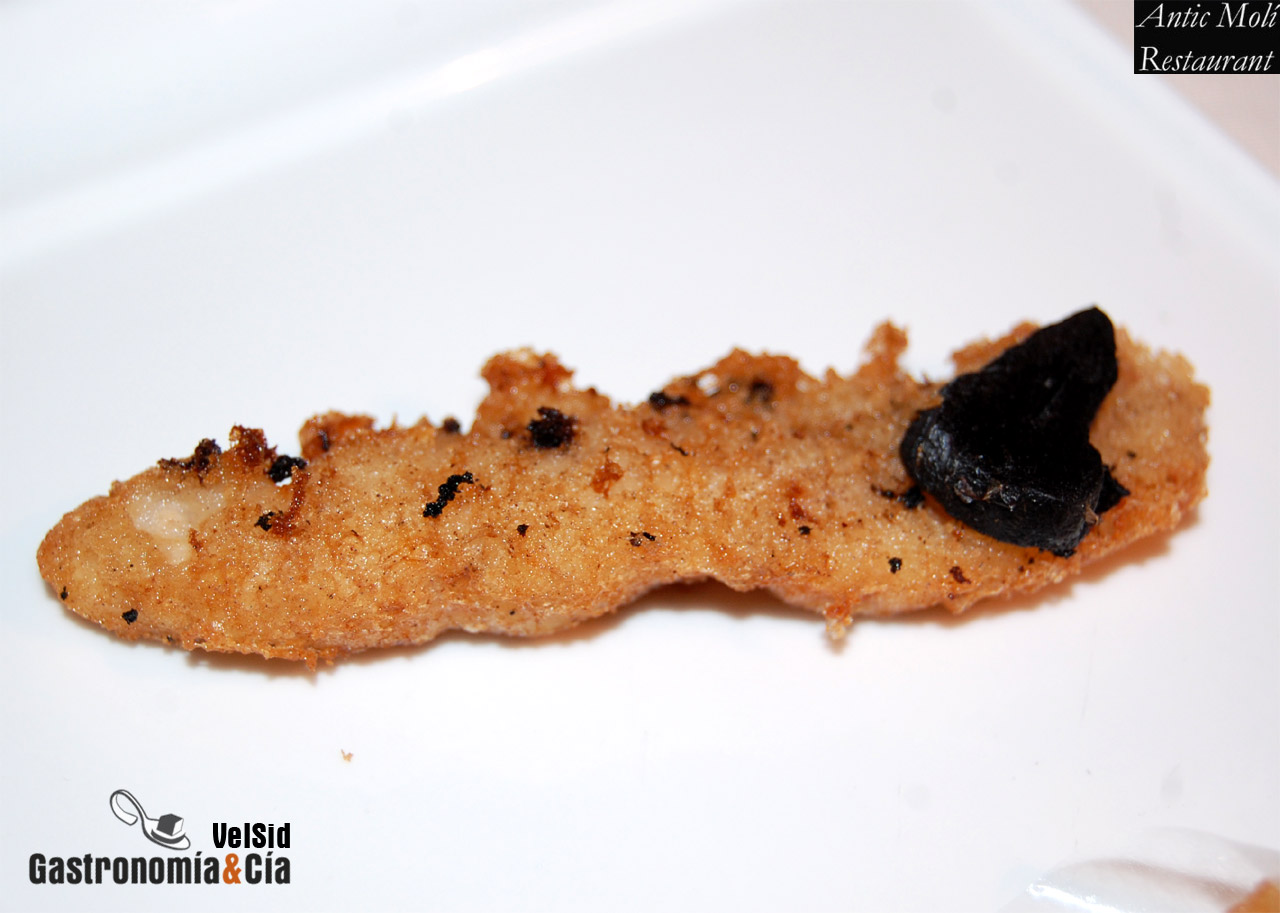 Menú degustación Descubre la Galera