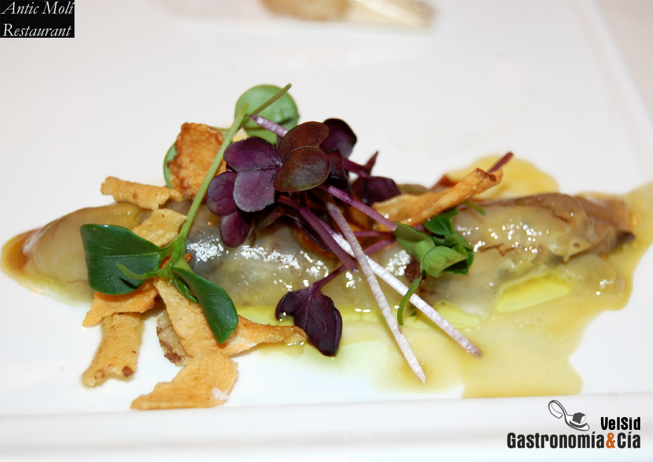 Menú degustación Descubre la Galera