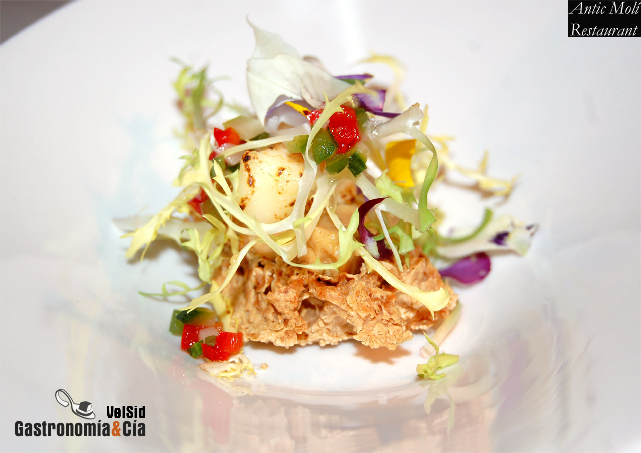 Menú degustación Descubre la Galera