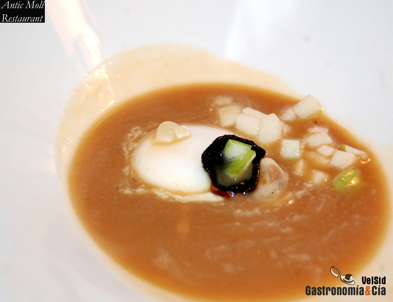 Menú degustación Descubre la Galera