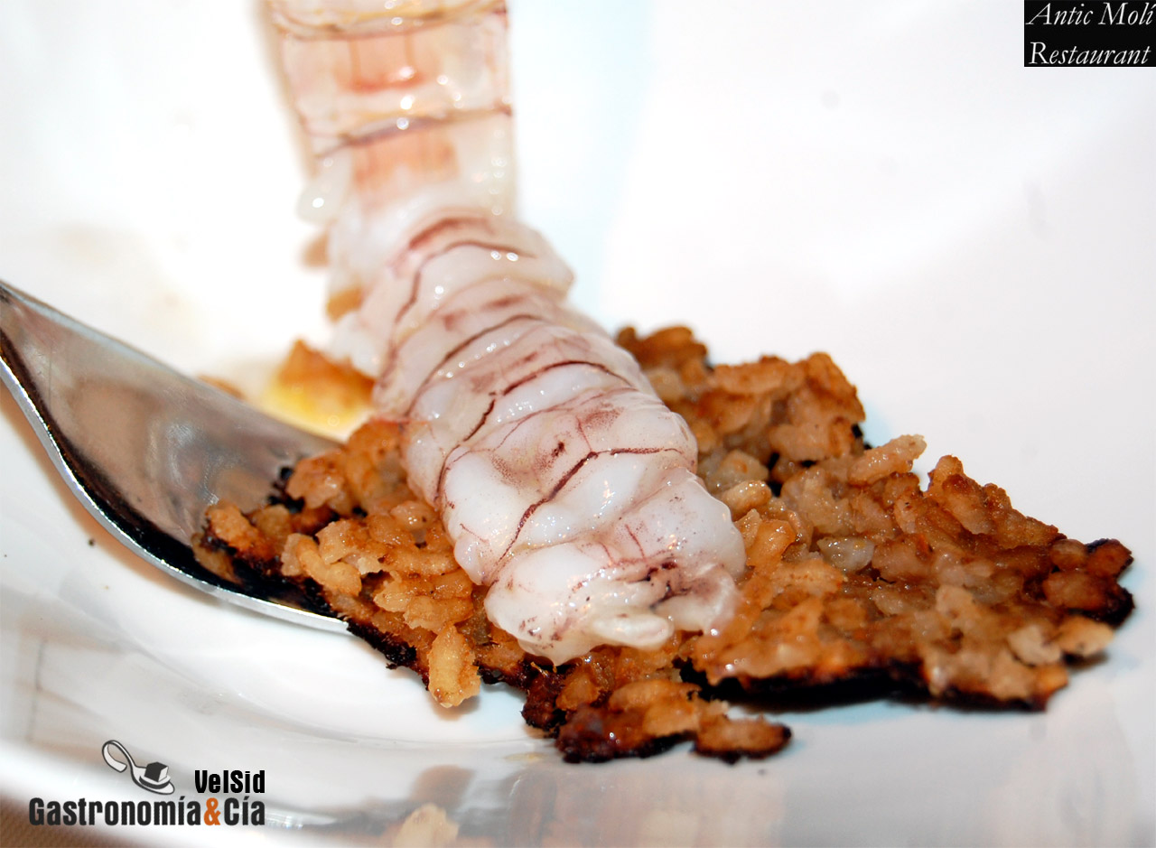 Menú degustación Descubre la Galera