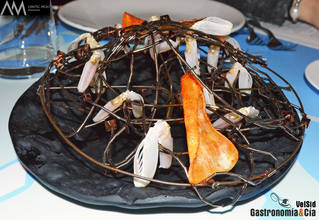 Jornadas de la Galera 2016