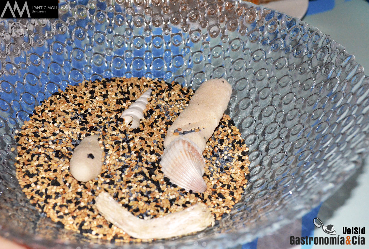 Jornadas de la Galera 2016