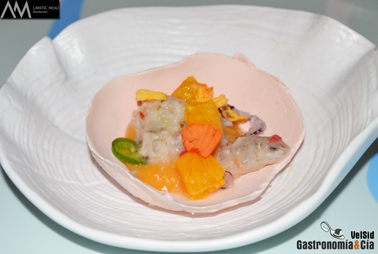 Jornadas de la Galera 2016