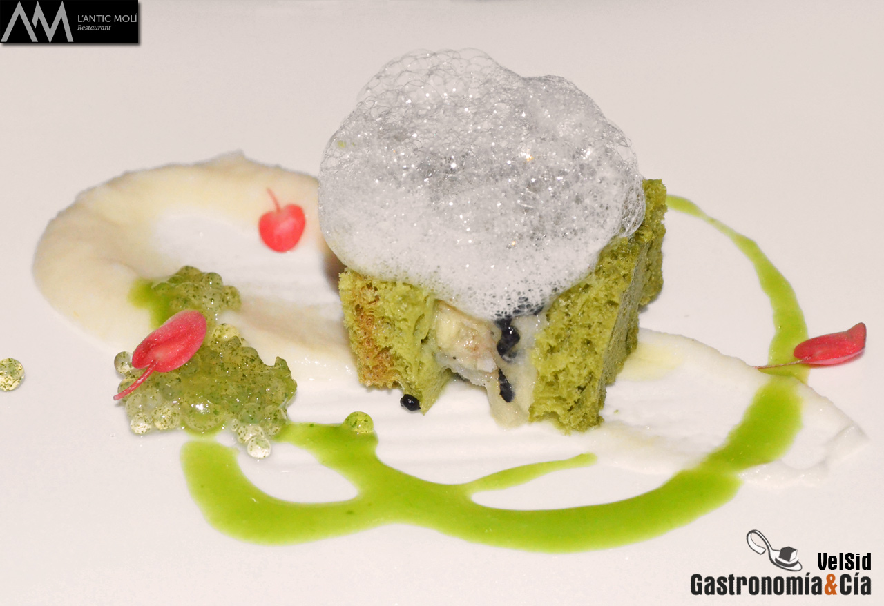 Jornadas de la Galera 2016