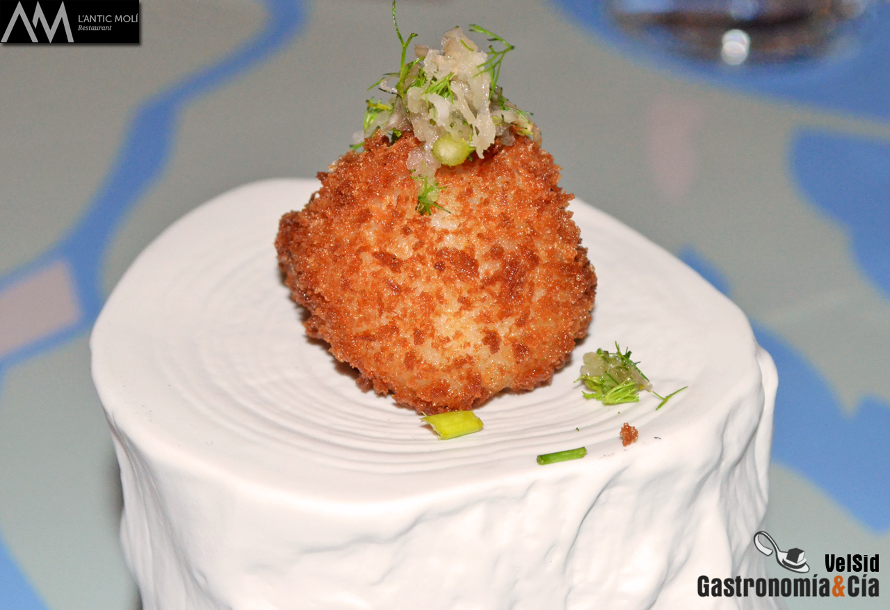 Jornadas de la Galera 2016