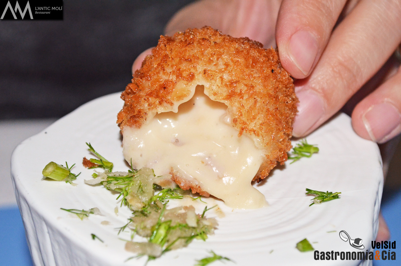 Jornadas de la Galera 2016