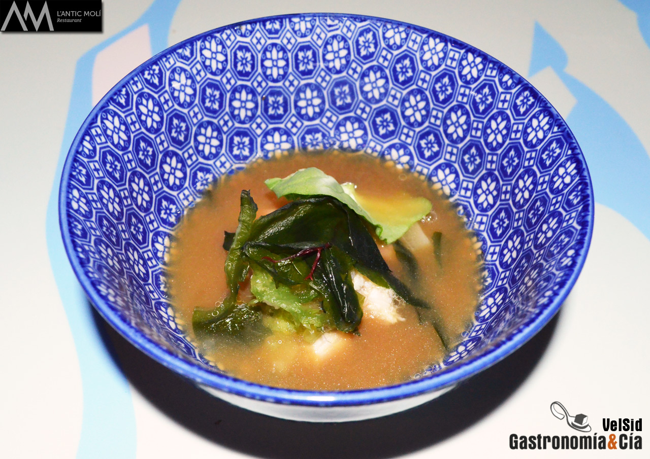 Jornadas de la Galera 2016