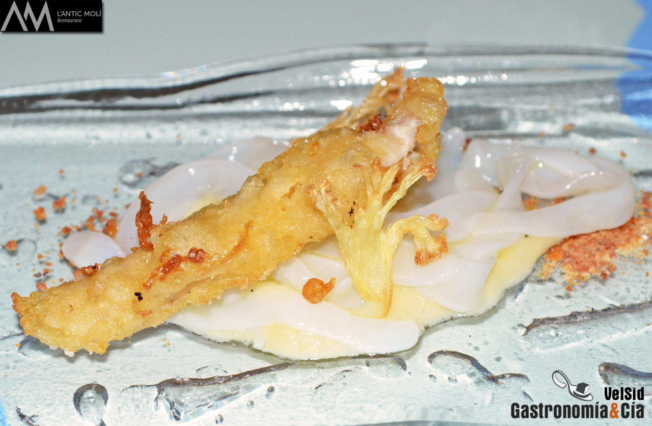 Jornadas de la Galera 2016