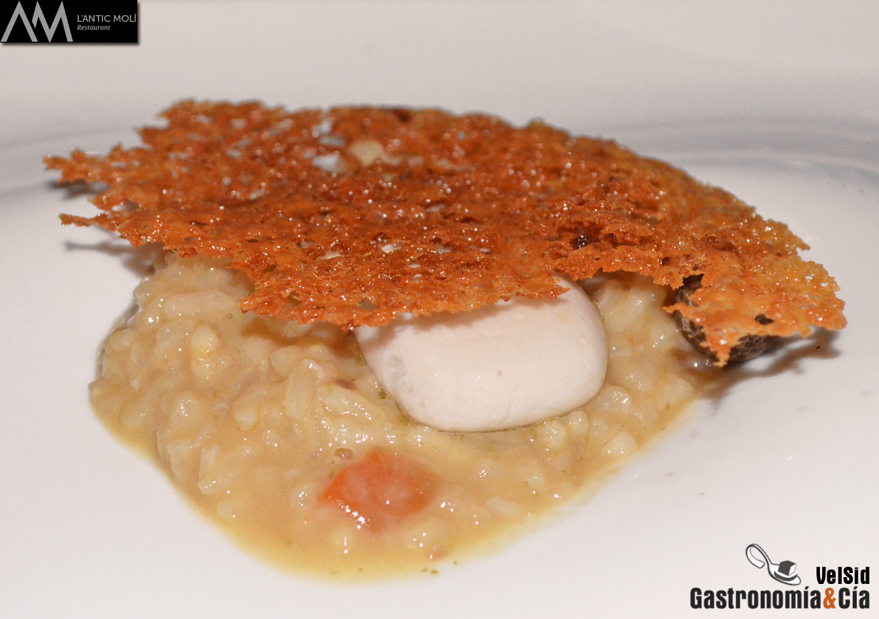 Jornadas de la Galera 2016