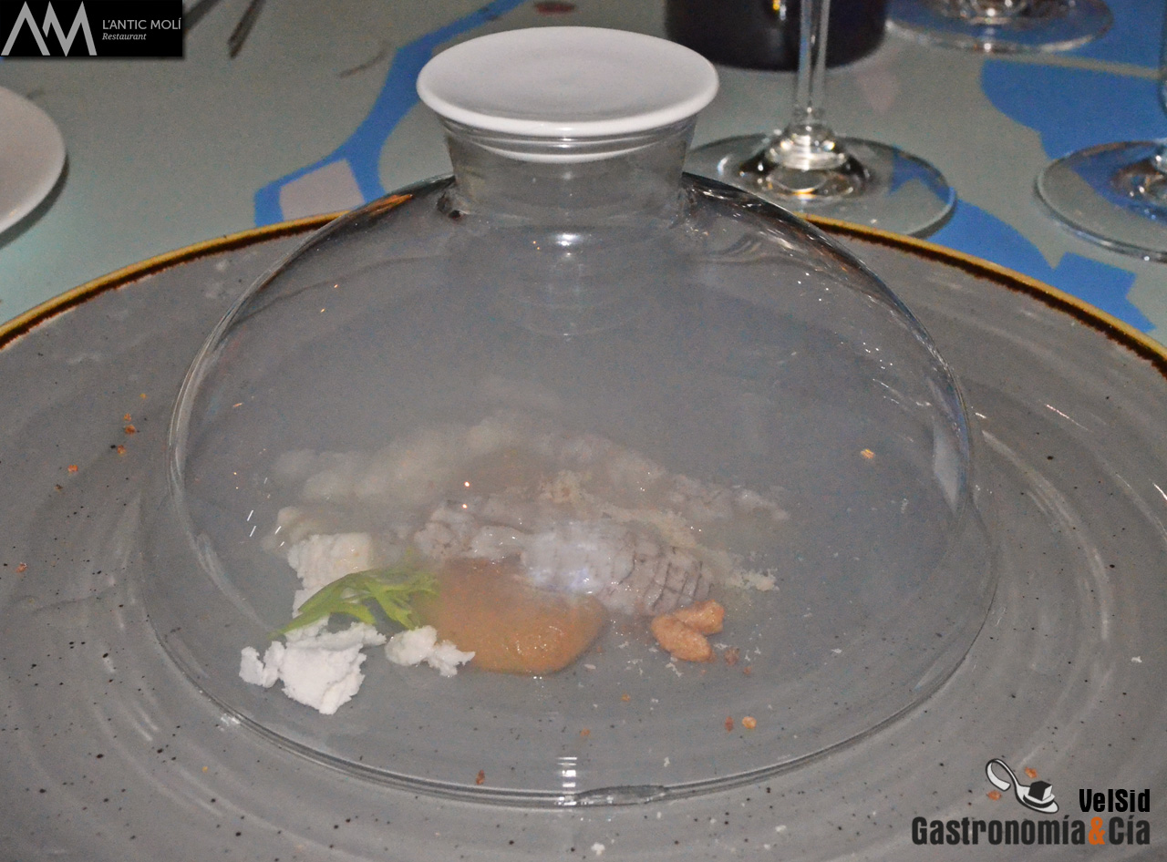 Jornadas de la Galera 2016