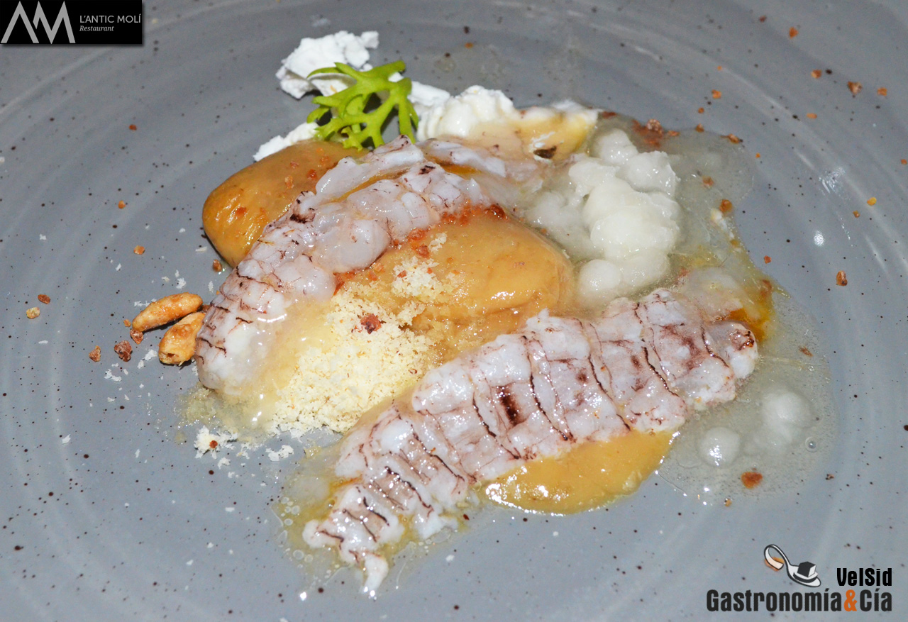 Jornadas de la Galera 2016