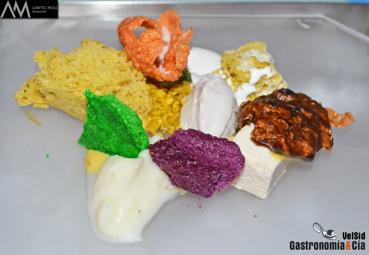 Jornadas de la Galera 2016