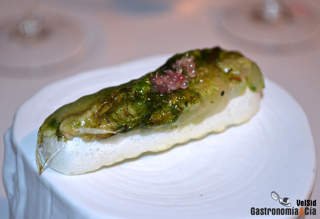 Jornadas de la Galera 2017