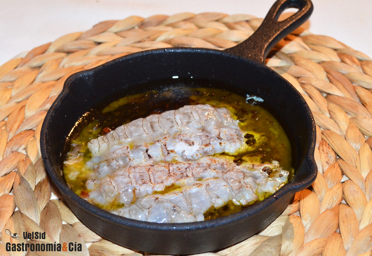 Jornadas de la Galera 2017